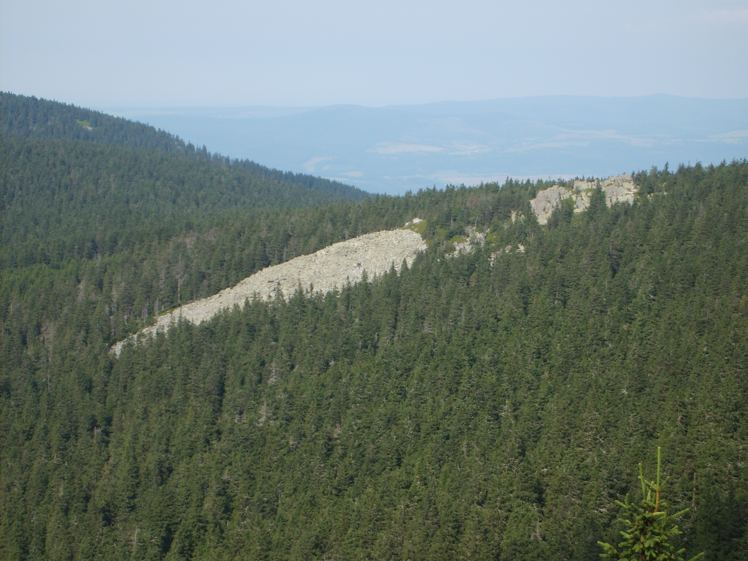 S5004370.JPG