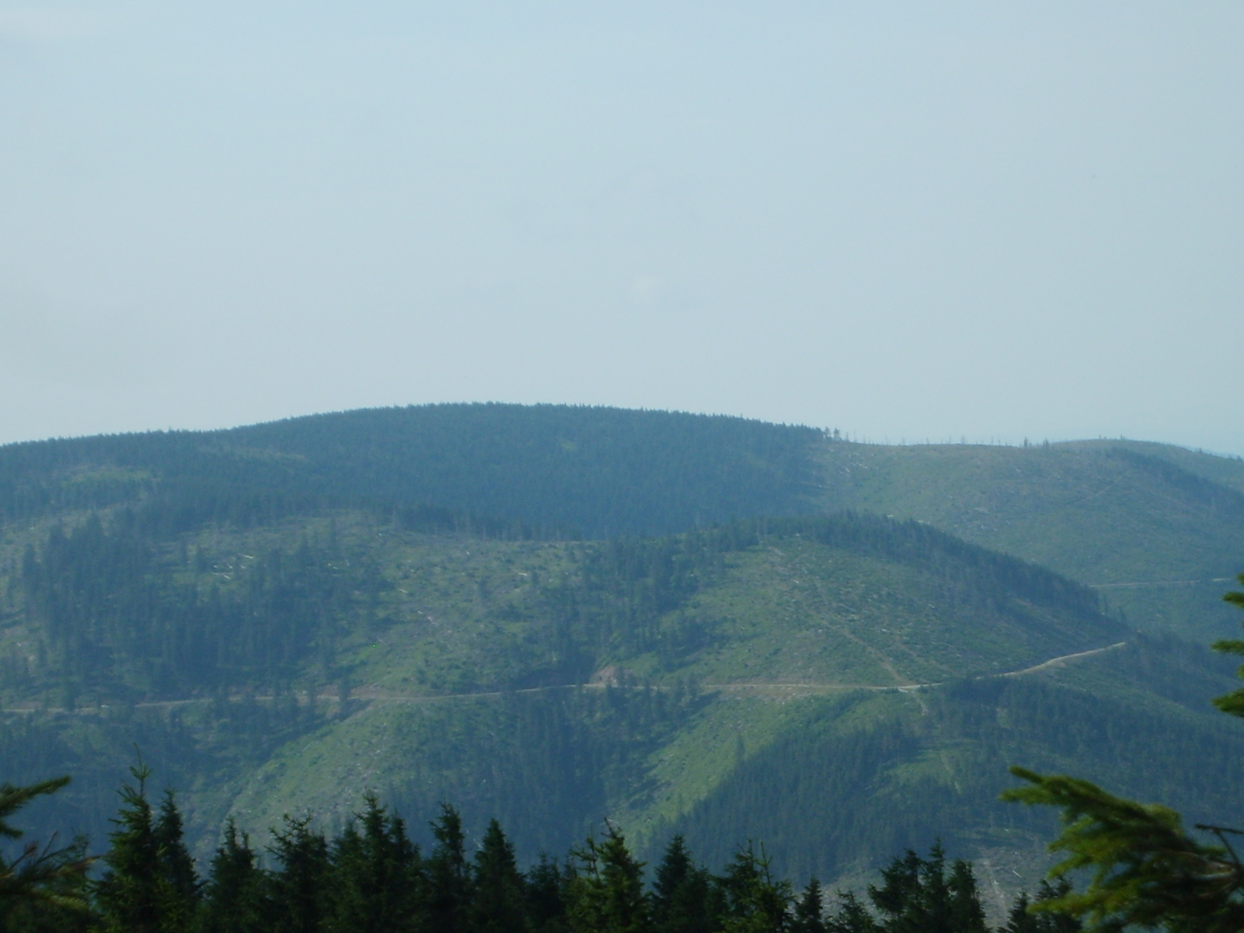 S5004371.JPG