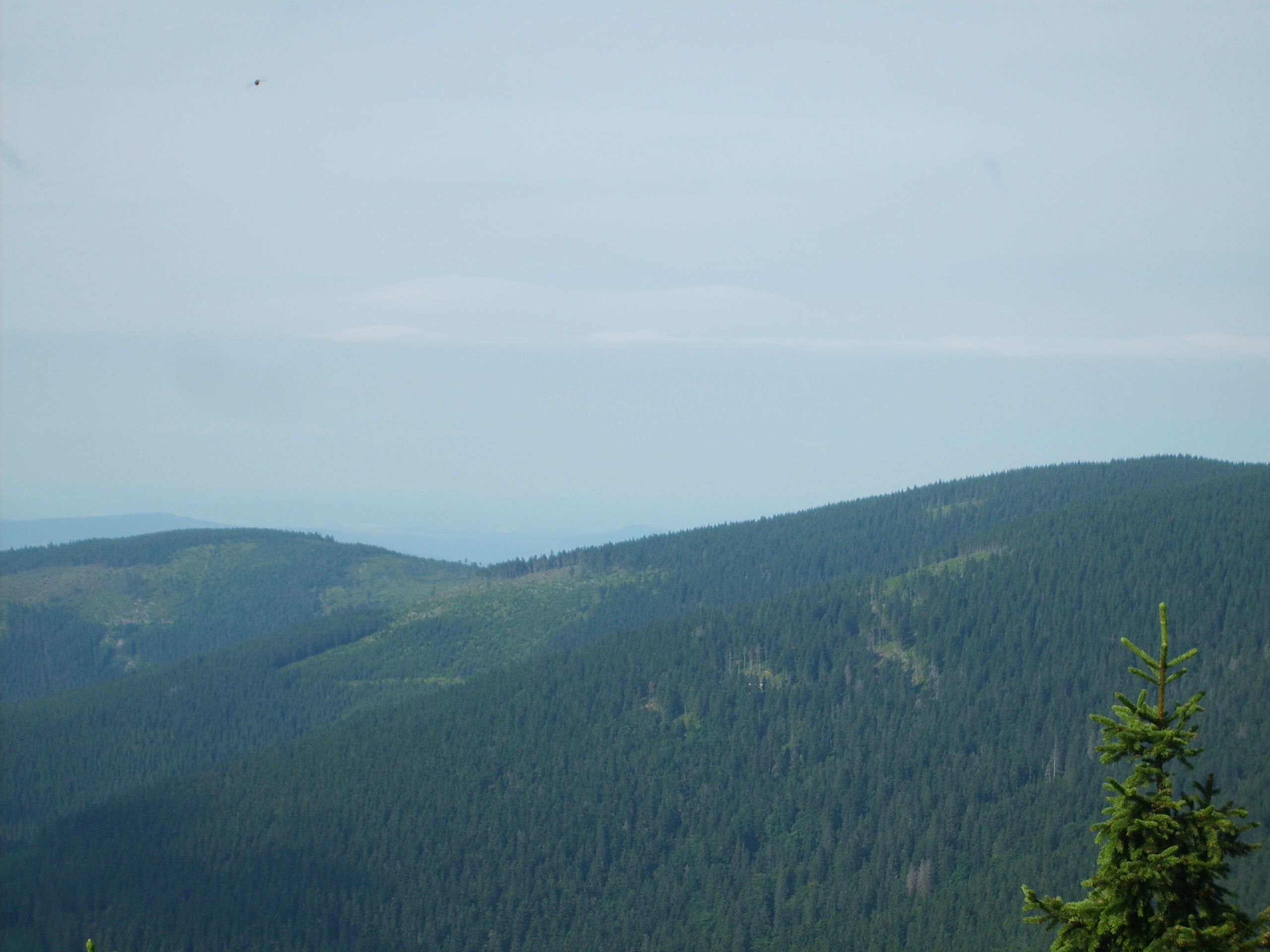 S5004374.JPG