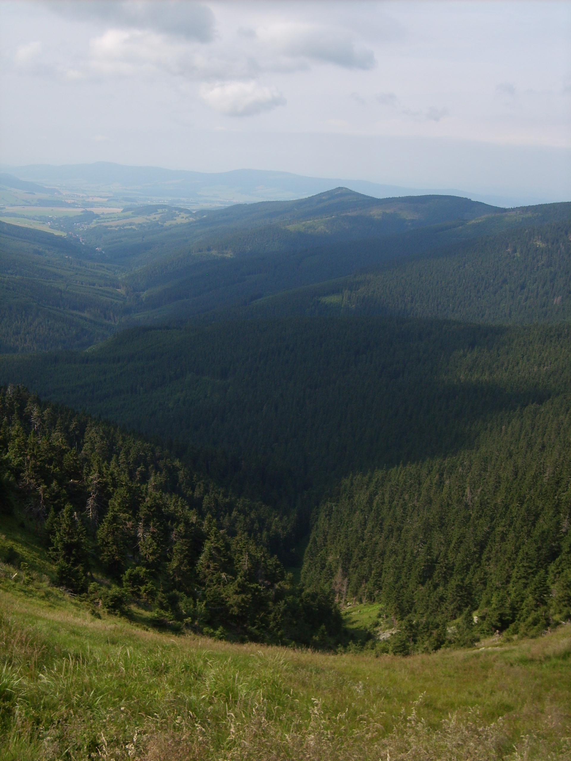 S5004376.JPG