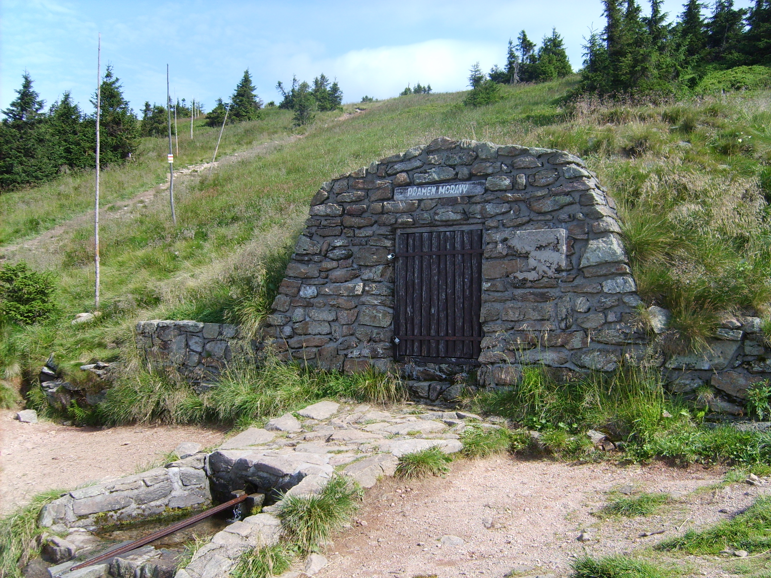 S5004377.JPG